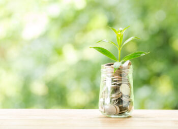 Plante qui pousse dans un bocal rempli de pièces
